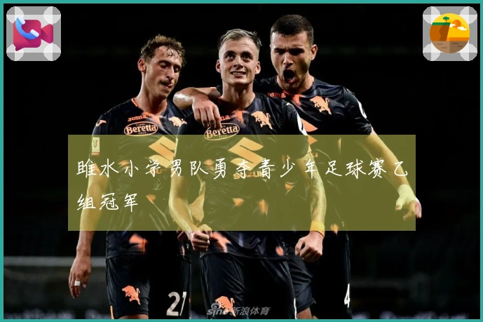 雎水小学男队勇夺青少年足球赛乙组冠军