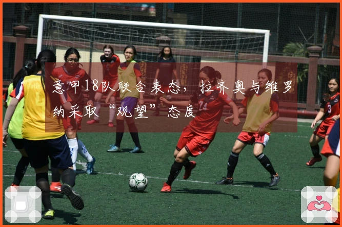 意甲18队联合表态，拉齐奥与维罗纳采取“观望”态度