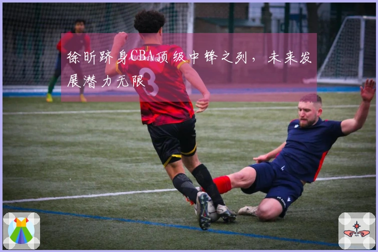 徐昕跻身CBA顶级中锋之列，未来发展潜力无限