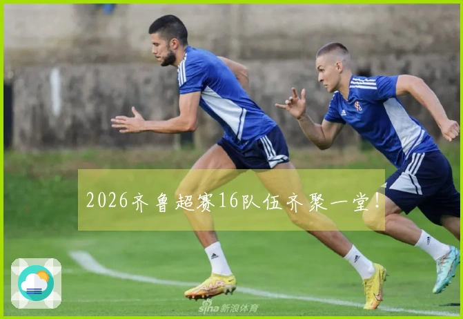 2026齐鲁超赛16队伍齐聚一堂！