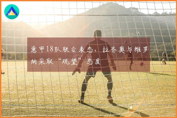 意甲18队联合表态，拉齐奥与维罗纳采取“观望”态度