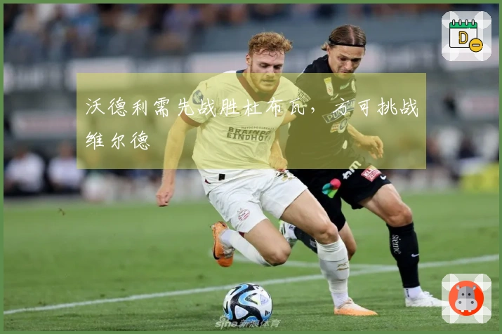 沃德利需先战胜杜布瓦，方可挑战维尔德