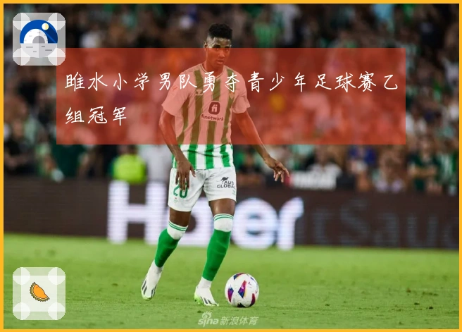 雎水小学男队勇夺青少年足球赛乙组冠军